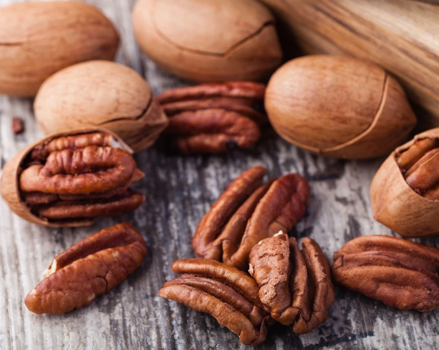 Veredelte Pekan-Nuss `Choctaw´ Carya Illinoinensis